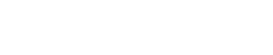 logo_light